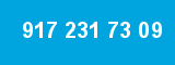 917 231 73 09 917 231 73 09